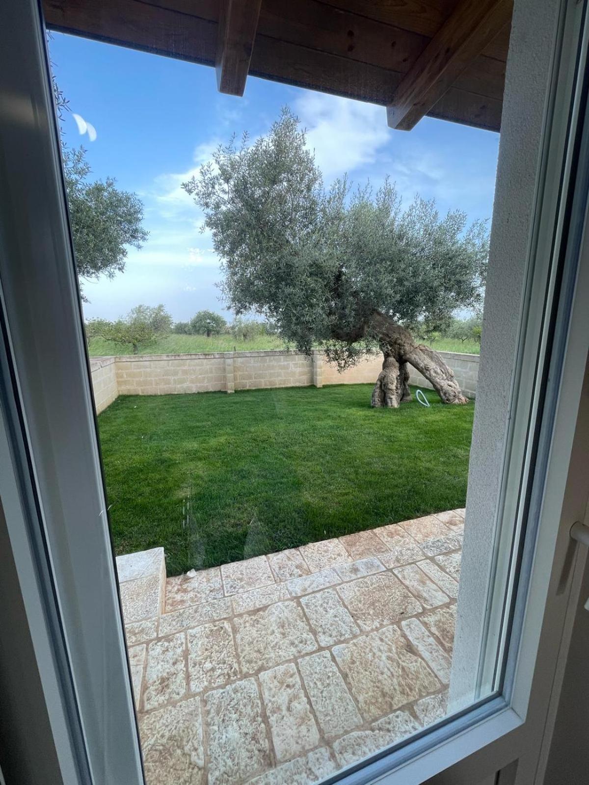 Masseria Fanizzi Conversano Cameră foto
